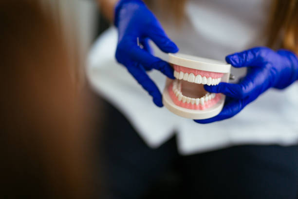 Bayport, NY Dental Services Company